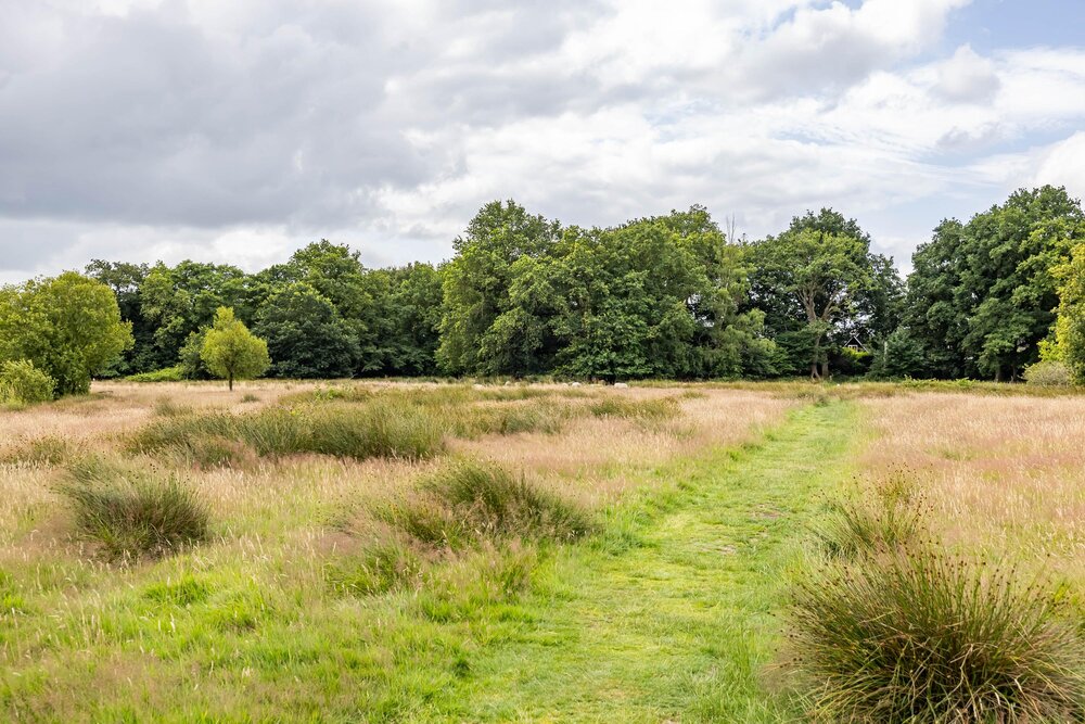 Podzolhamel 22, 9403 XC Assen - € 450.000 k.k. - Boekholt & partners makelaars Assen